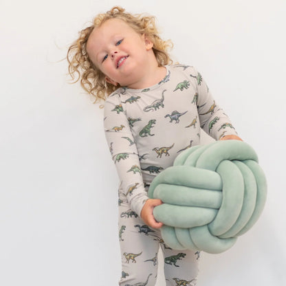 Legendary Dino Long Sleeve Pajama Set