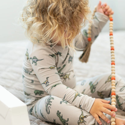 Legendary Dino Long Sleeve Pajama Set