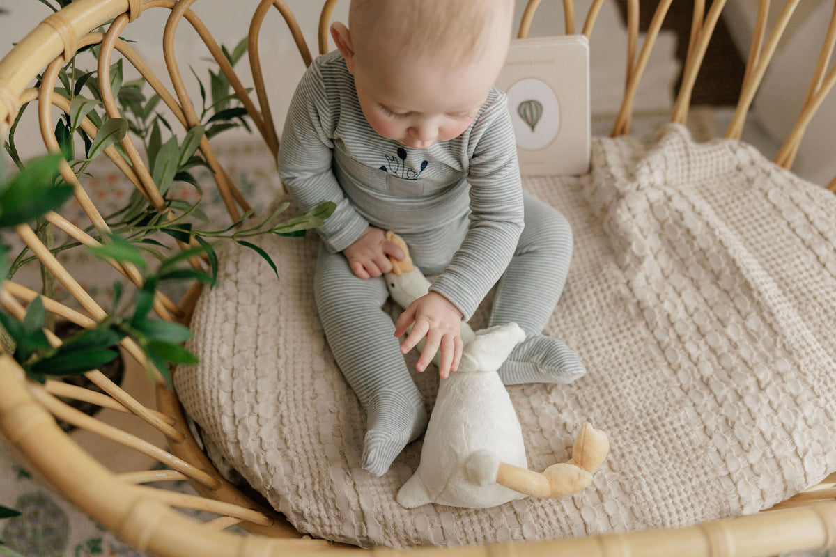 Stripe Ivory Blue Footie