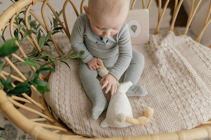 Stripe Ivory Blue Footie